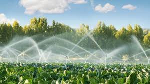 Tender floated for construction of Lift Irrigation MS Pipeline Project